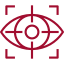 vision